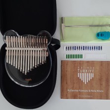 Gecko Panda Şeffaf Kalimba