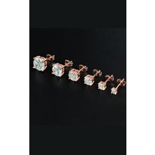 Erer Gümüş Gümüş Rose Tek Taş Bayan Küpe