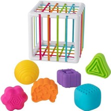 Fat Brain Toys Renk ve Şekil Blokları