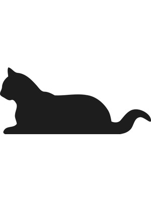 Technopa KEDİ FOLYO STİCKER - 200cm Uzunluk
