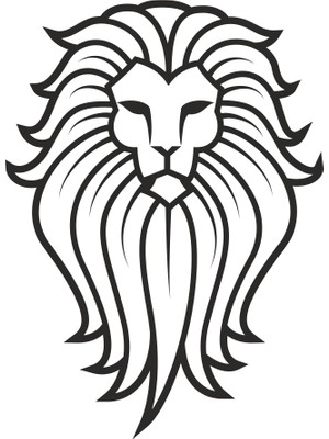 Technopa Aslan 9 Folyo Sticker 40 cm Uzunluk