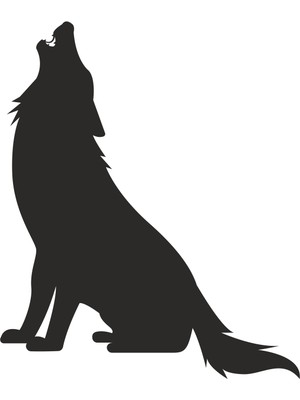 Technopa Kurt Folyo Sticker 30 cm Uzunluk