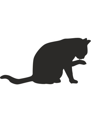 Technopa KEDİ FOLYO STİCKER - 70cm Uzunluk