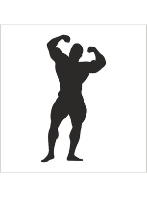 Technopa BODY GYM FOLYO STİCKER DERSTV1092 - 20cm uzunluk