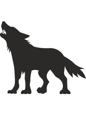 Technopa Kurt Folyo Sticker 60 cm Uzunluk