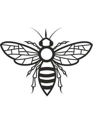 Technopa Bal Arısı Folyo Sticker 20 cm Uzunluk