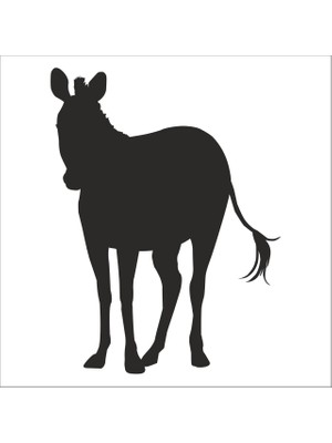 Technopa ZEBRA FOLYO STİCKER - 130cm Uzunluk
