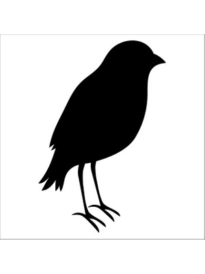 Technopa Kuş Folyo Sticker 60CM Uzunluk