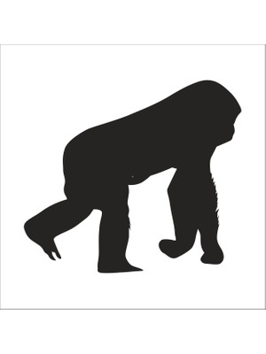 Technopa Maymun  Folyo Sticker 200CM Uzunluk