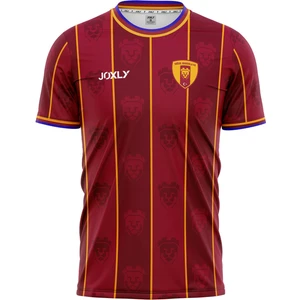 Niğde Anadolu Fk 2022/2023 Çubuklu Maç Forması