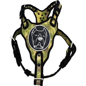 Tasma Market Kamuflaj Cane Corso Köpek Göğüs Tasması Göğüslük Tasma