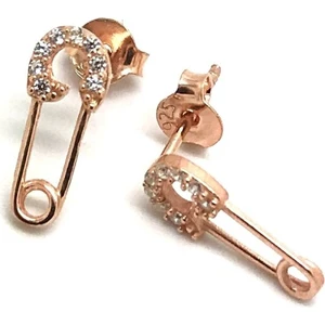 Erer Gümüş Gümüş Çatal Iğne Taşlı Küpe DP76E3