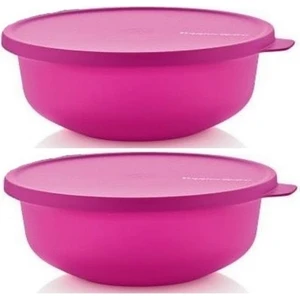 Aloha Saklama Kabı 2 x 450 ml Servis Kabı