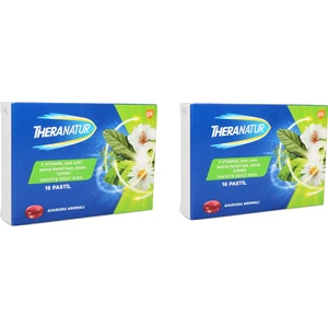 Ahududu Aromalı 16 Pastil 2 Kutu