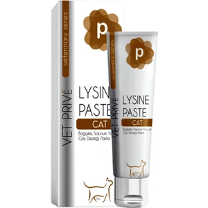Vet Prive Vetprive Lysine PASTA100GR