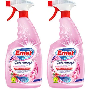 Çok Amaçlı Temizleyici Çiçek Kokulu 750 ml 2li