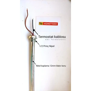 Hizmetterm 600 Watt 60C Termostatlı Bakır Rezistans