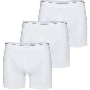 Erkek Boxer 3'lü Paket Tender Cotton 9673