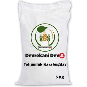 Devrekani Deva Gıda Karabuğday Tohumu 5 kg