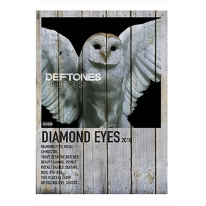 Diamond Eyes Deftones Modern Ahşap Tablo