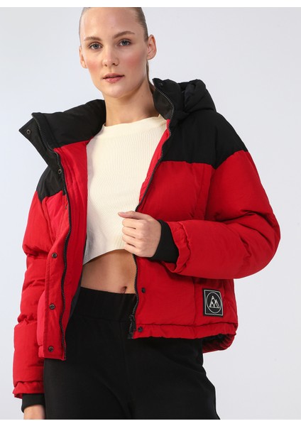 Kırmızı Kadın Mont K- modelleri