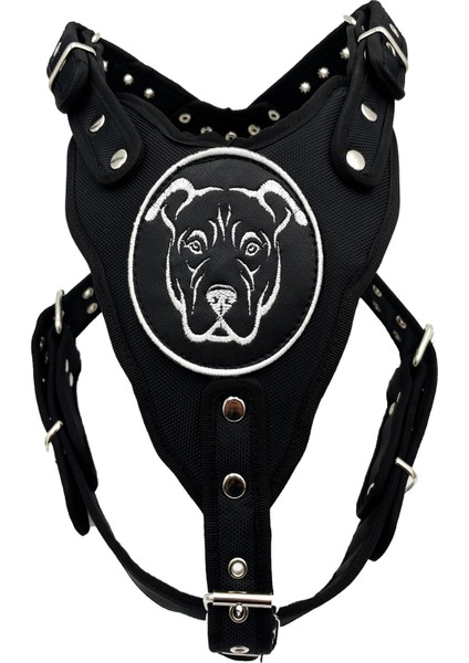 Siyah American Bully Köpek Göğüs Tasması Göğüslük Tasma