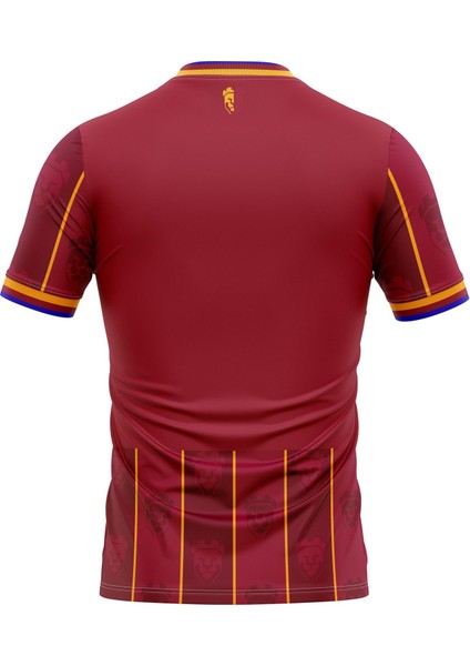 Niğde Anadolu Fk 2022/2023 Çubuklu Maç Forması fiyatları