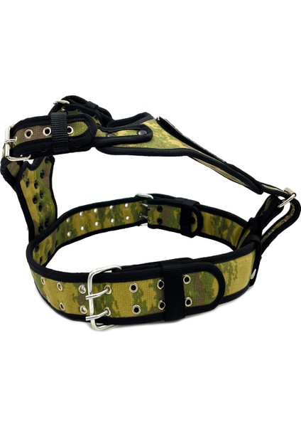 Kamuflaj Cane Corso Köpek Göğüs Tasması Göğüslük Tasma fiyatları