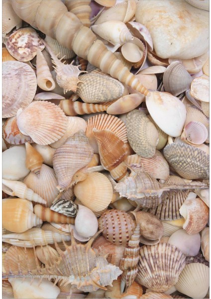 Dijital Baskılı Kaymaz Tabanlı Yıkanabilir 2'li Set Banya Halısı Klozet Takımı Paspas VHKZ-HP-660 fiyatları