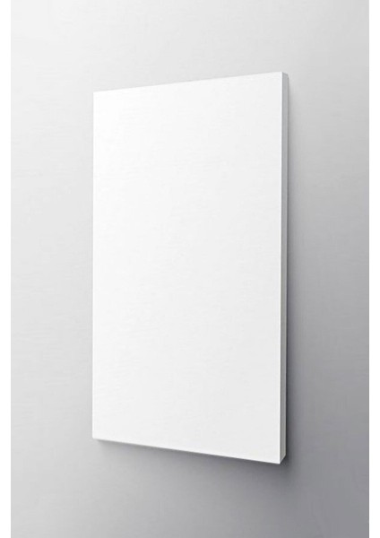 20X25 Profesyonel Tuval
