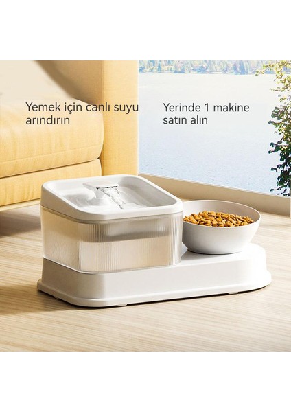 Kedi Mama Kabı (Yurt Dışından) modelleri