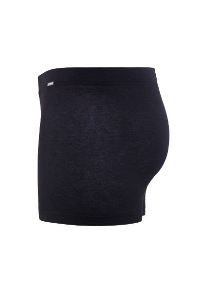Erkek Modal Elastan Boxer Silver 9310 modelleri