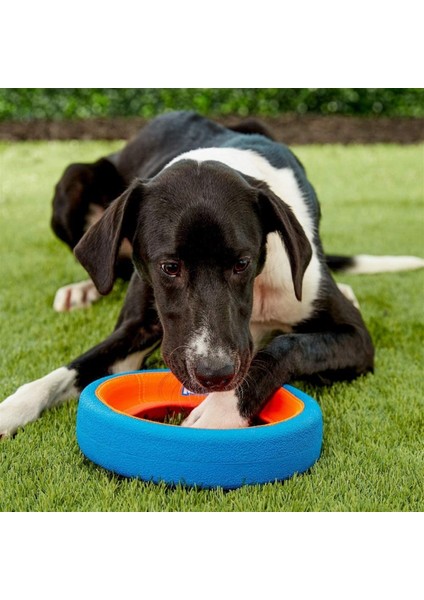 Chuckit! Fetch Wheel Oyun Halkası