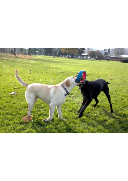 Chuckit! Fetch Wheel Oyun Halkası