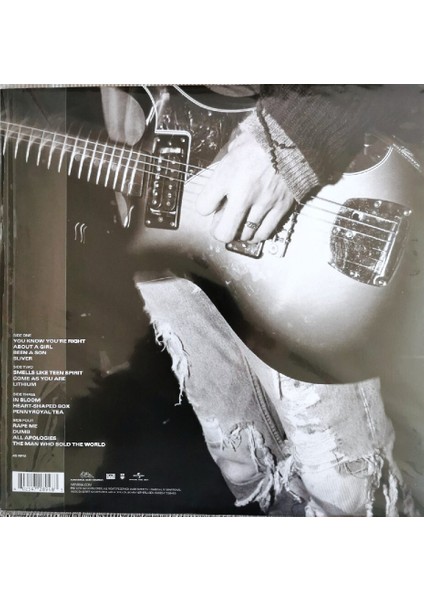 Nirvana / Nirvana (2lp) (Plak)