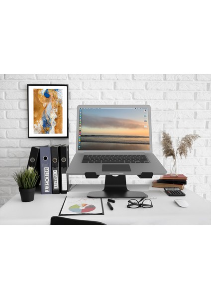 Rigel Notebook ve Macbook Standı