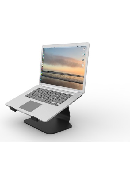 Rigel Notebook ve Macbook Standı