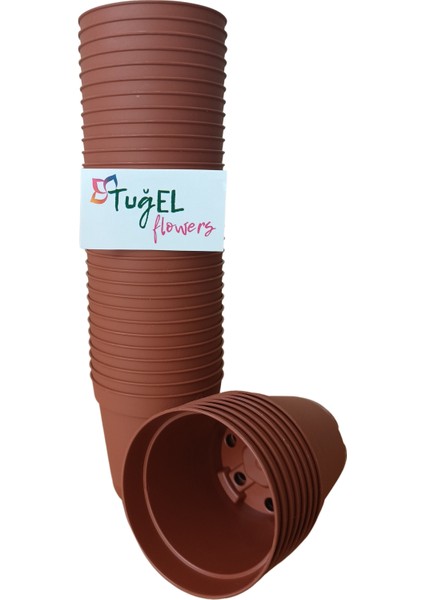 20 Adet Kaktüs&sukulent Üretim Saksısı (Mini Boy-5.5 Cm) fiyatları