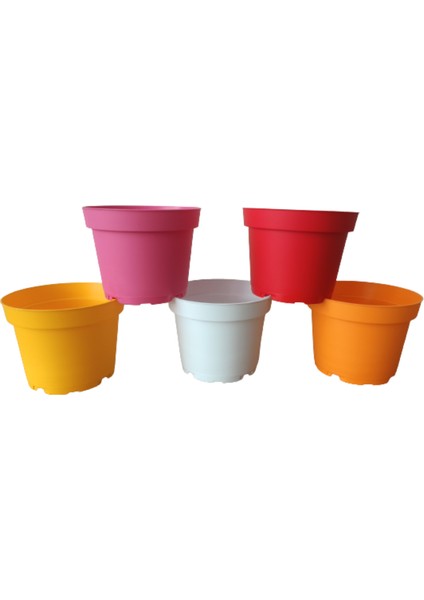 10 Adet 5 Renkli Plastik Saksı (10.5 CM.LİK) Alt Tabaksız