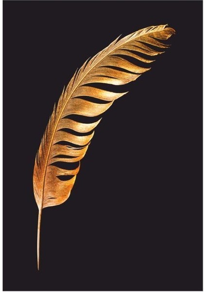 Çerçevesiz Poster Duvar Tablosu Poster Modern Tablo Dekoratif Çerçevesiz Tablo 30X40 cm - Çerçevesiz