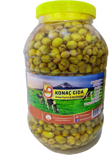 Antep Yeşil Zeytin 5 L