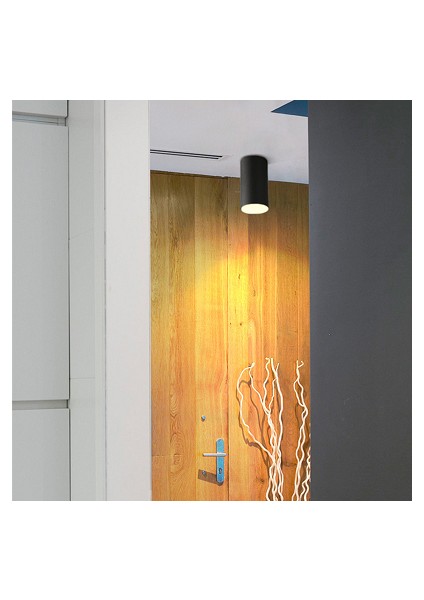 Sıva Üstü Armatür Assos G10 Duy CT-5418 (Ampul Hariç) modelleri