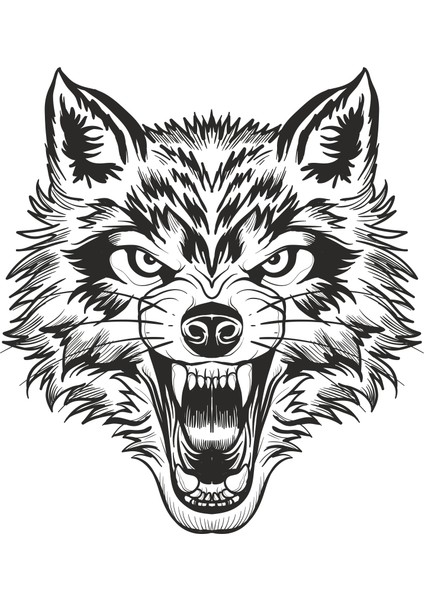 Kurt Folyo Sticker 50 cm Uzunluk