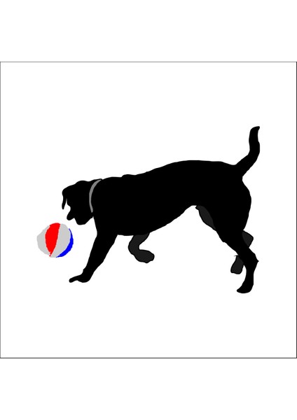 Top Oynayan Köpek Folyo Sticker 130 cm Uzunluk