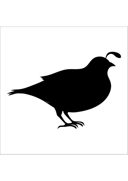 Kuş Folyo Sticker 50CM Uzunluk