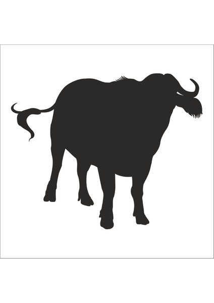 Manda Folyo Sticker 100CM Uzunluk