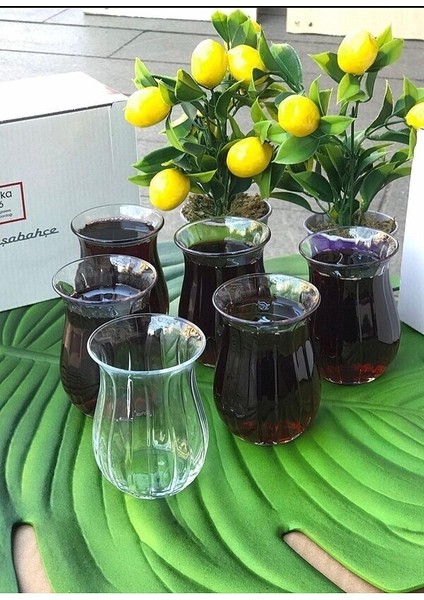 6 Adet Paşabahçe Linka Çay Seti
