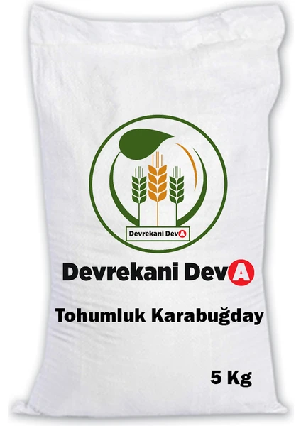 Devrekani Deva Gıda Karabuğday Tohumu 5 kg