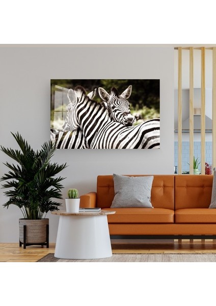 Zebralar Cam Tablo, Doğa Tabloları, Zebra Tablo, Duvar Dekor, Büyük Tablo, Cam Duvar Tablo