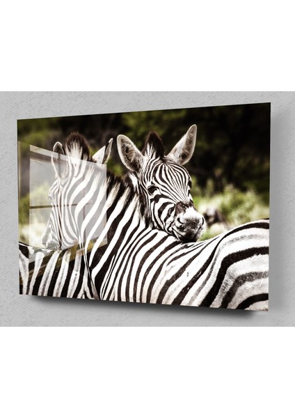 Zebralar Cam Tablo, Doğa Tabloları, Zebra Tablo, Duvar Dekor, Büyük Tablo, Cam Duvar Tablo modelleri